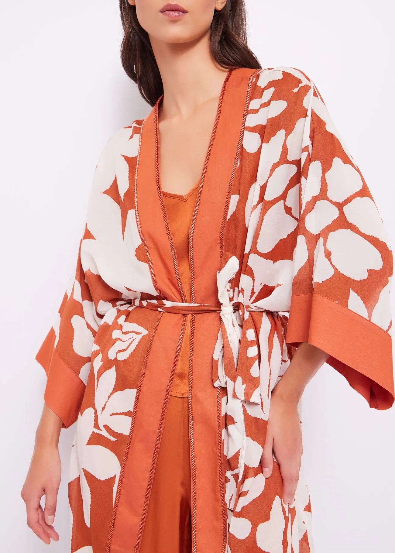 242_411FD45006_411005-01-P03